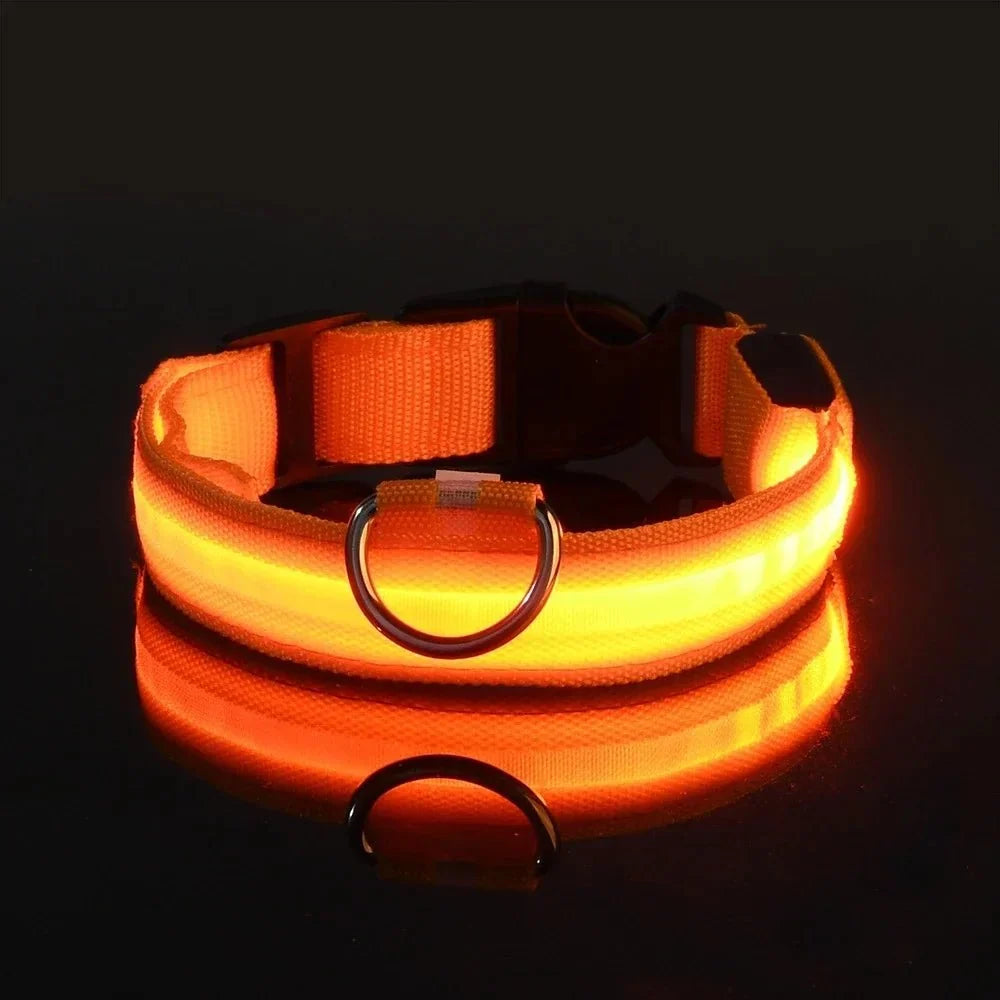 LED Dog Collar for Everyday Walks – StrideSmart™