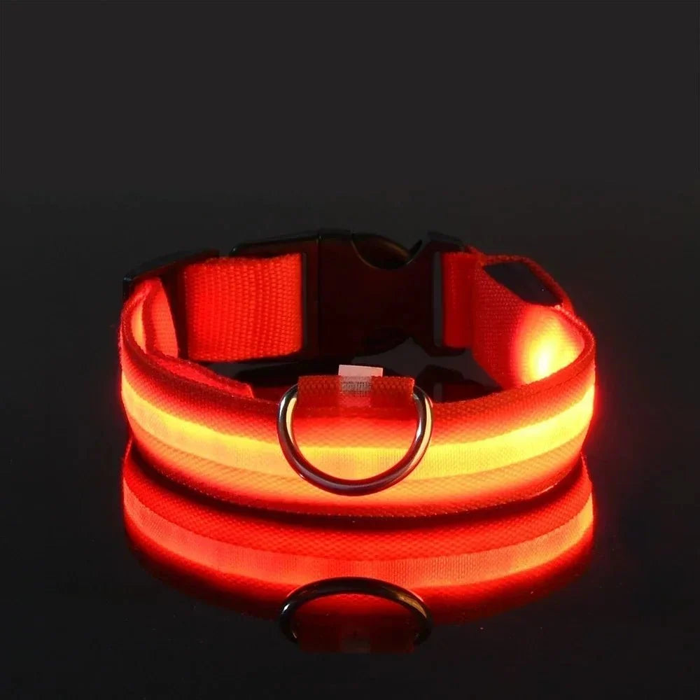 LED Dog Collar for Everyday Walks – StrideSmart™