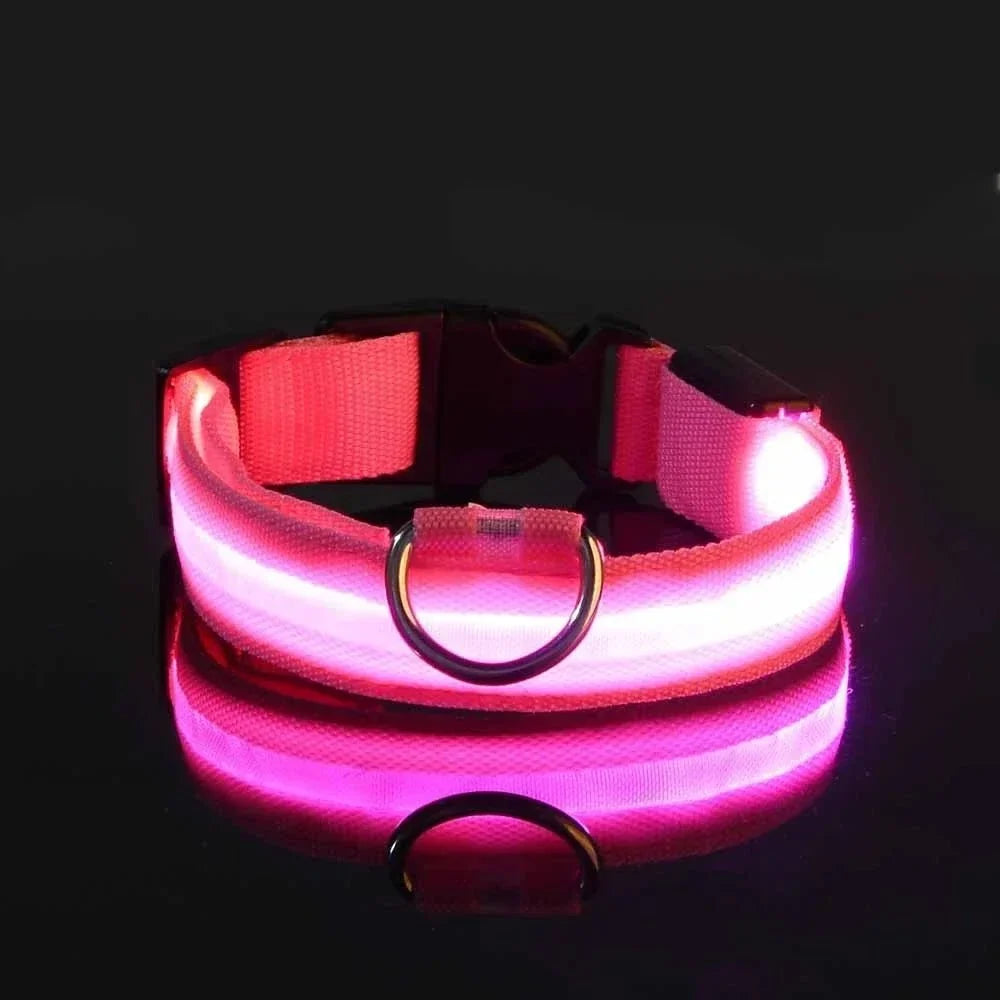 LED Dog Collar for Everyday Walks – StrideSmart™