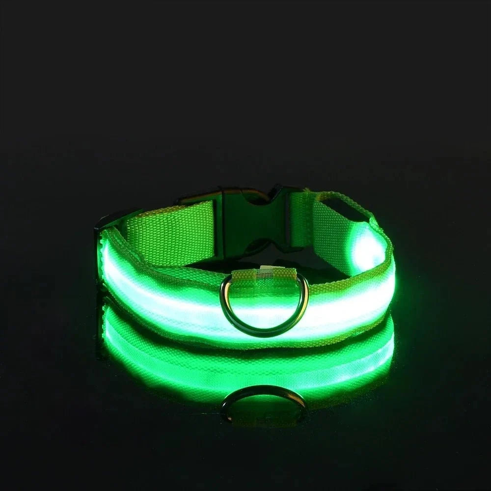 LED Dog Collar for Everyday Walks – StrideSmart™