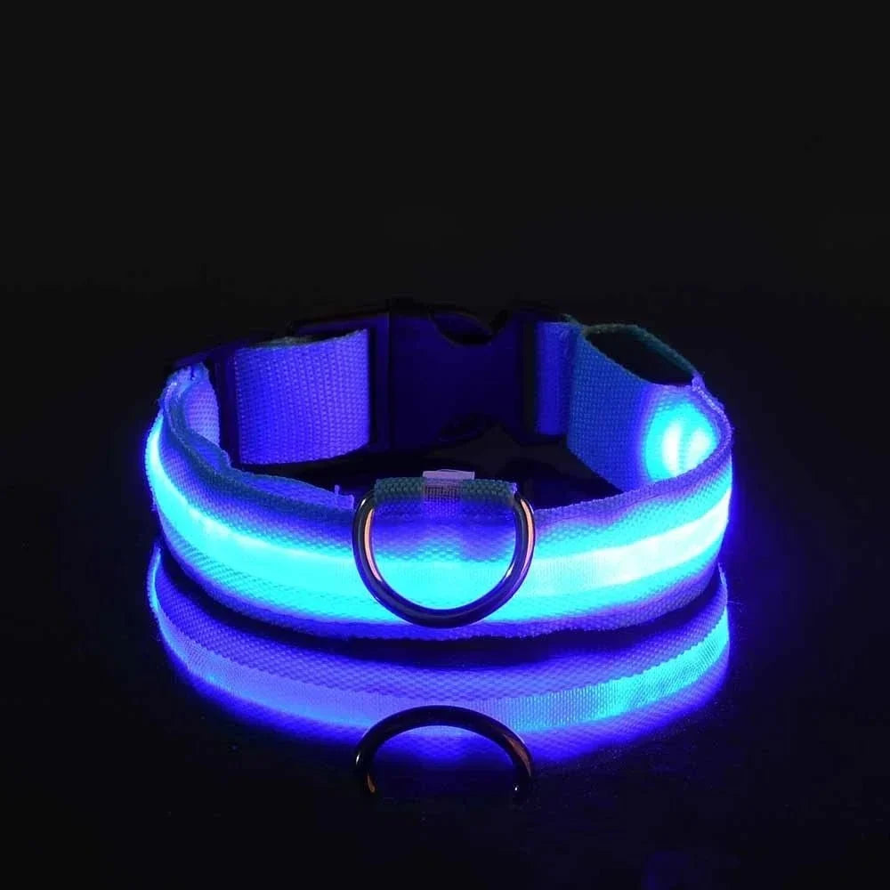 LED Dog Collar for Everyday Walks – StrideSmart™