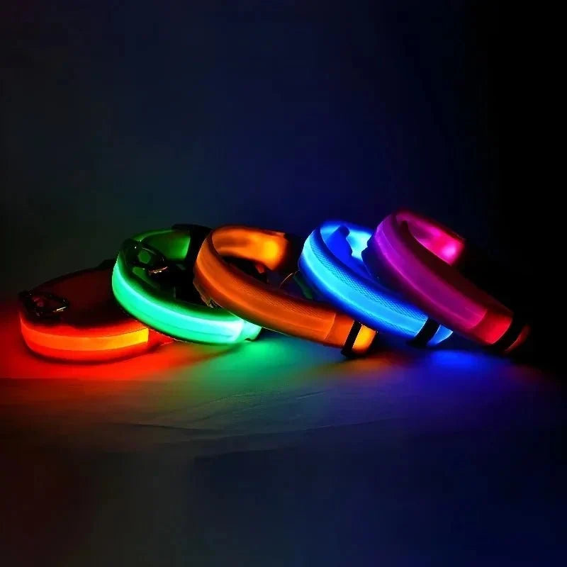 LED Dog Collar for Everyday Walks – StrideSmart™