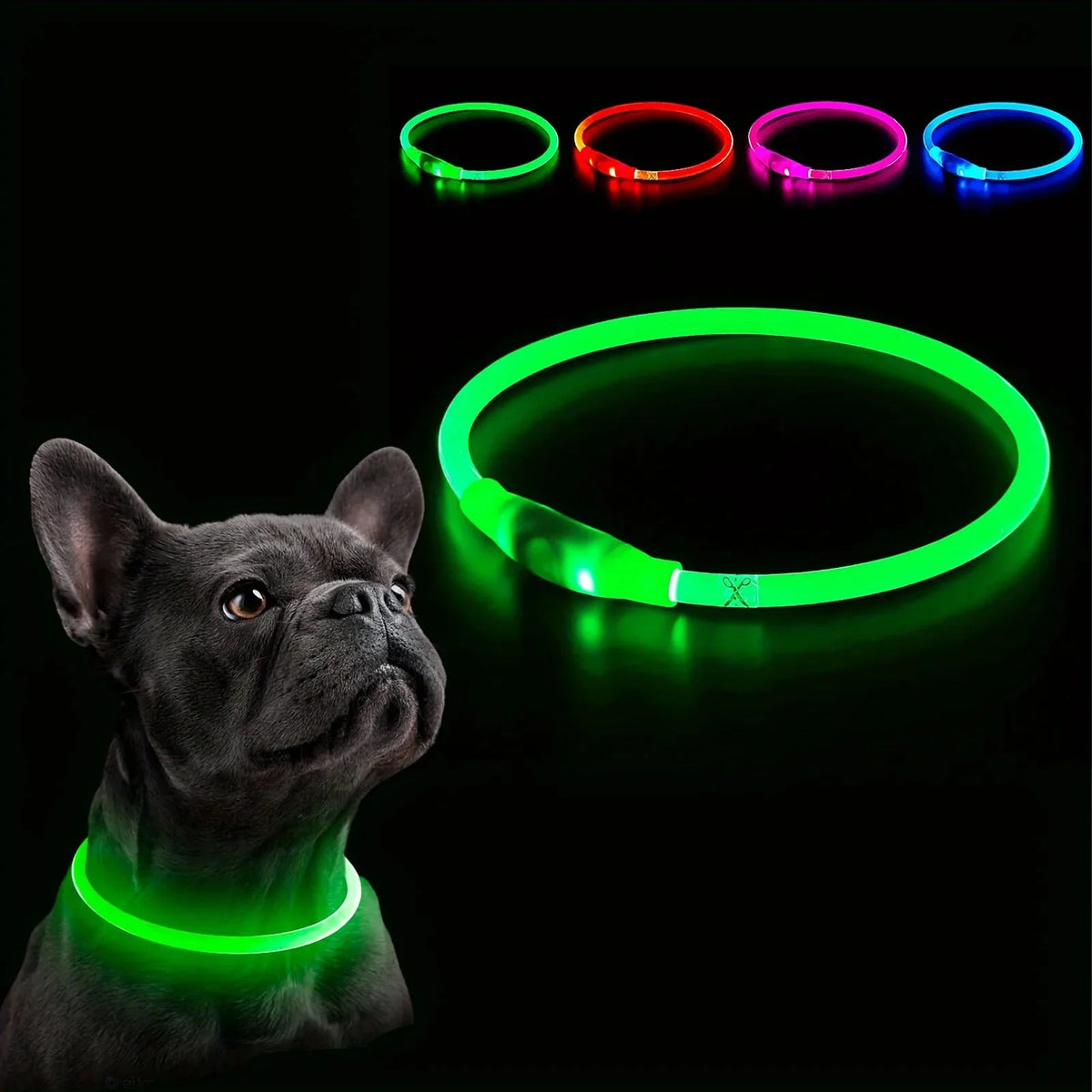 Rechargeable LED Pet Collar – WalkSmart™