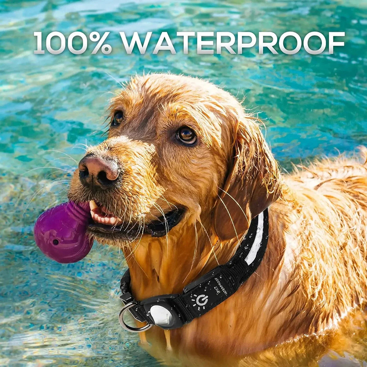 GPS Pet Tracker with Collar for Pets – GuideMotion™