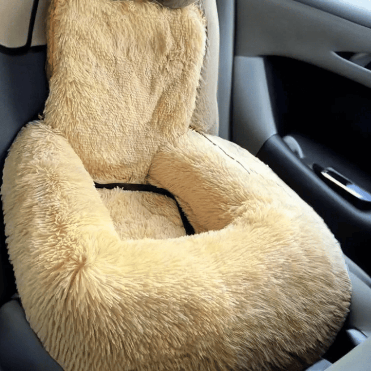 Luxury Elevated Dog Car Bed – RidePaws™