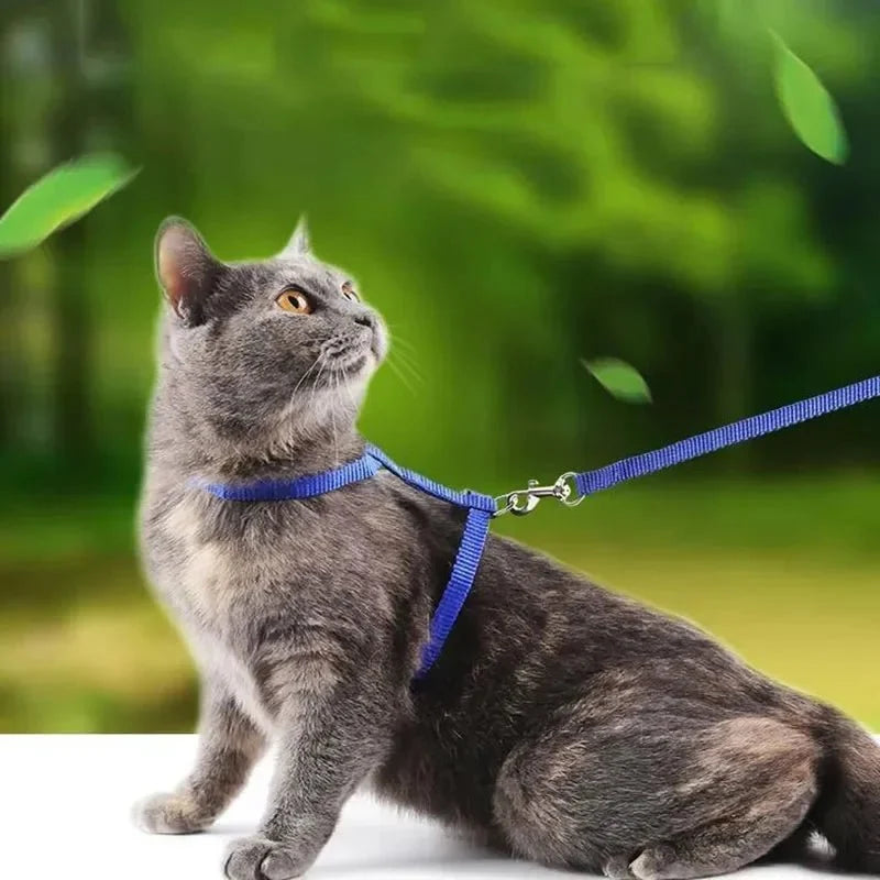 Escape-Proof Dog & Cat Harness with Lead – LeadSphere™