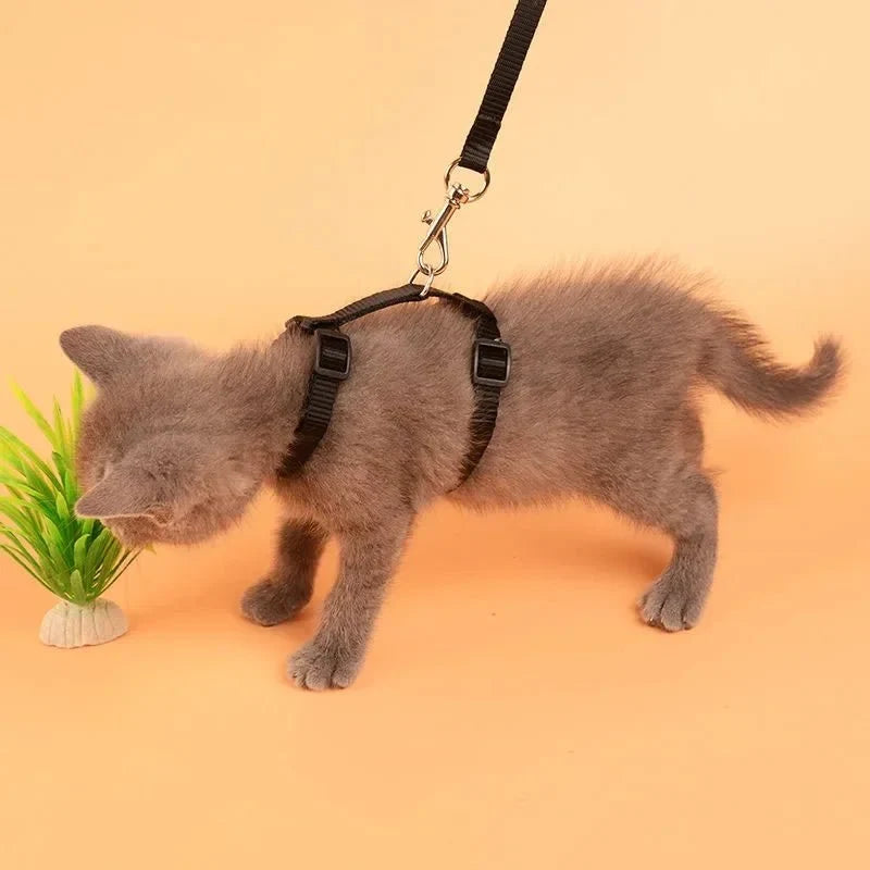 Escape-Proof Dog & Cat Harness with Lead – LeadSphere™