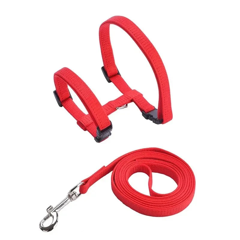 Escape-Proof Dog & Cat Harness with Lead – LeadSphere™