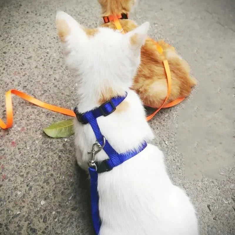 Escape-Proof Dog & Cat Harness with Lead – LeadSphere™