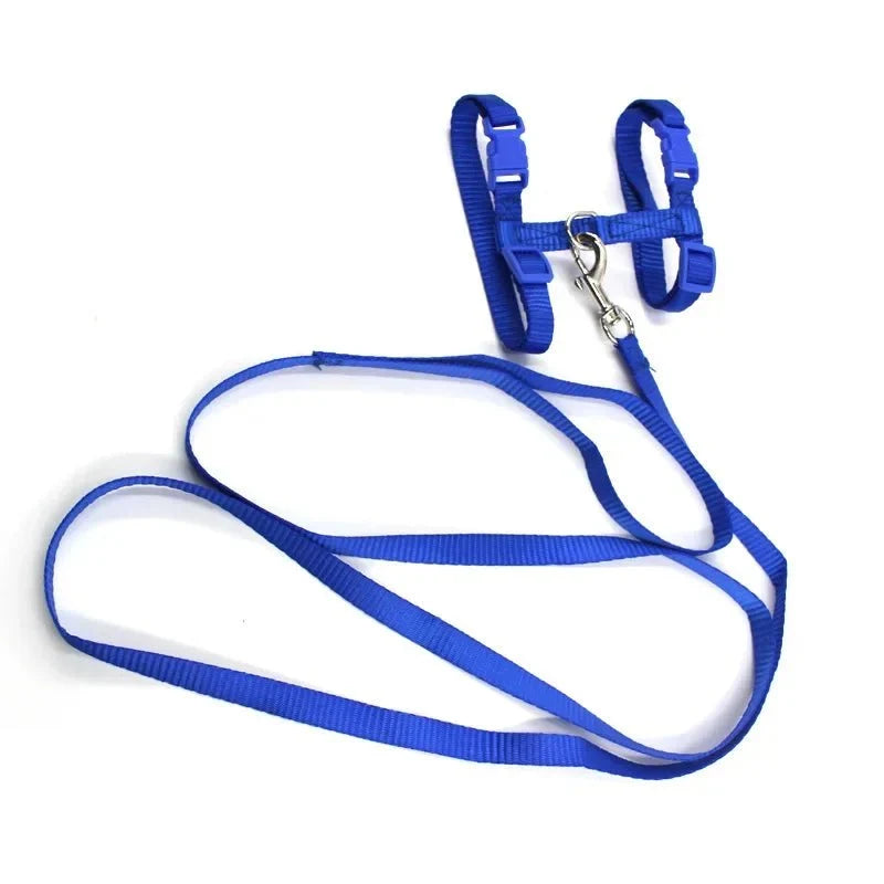 Escape-Proof Dog & Cat Harness with Lead – LeadSphere™