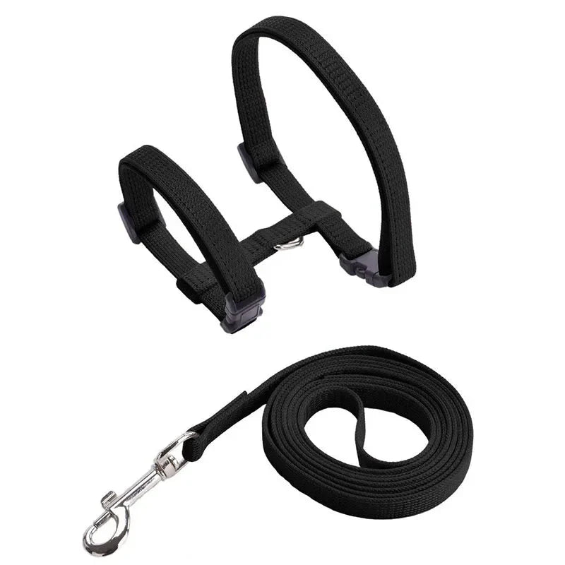 Escape-Proof Dog & Cat Harness with Lead – LeadSphere™
