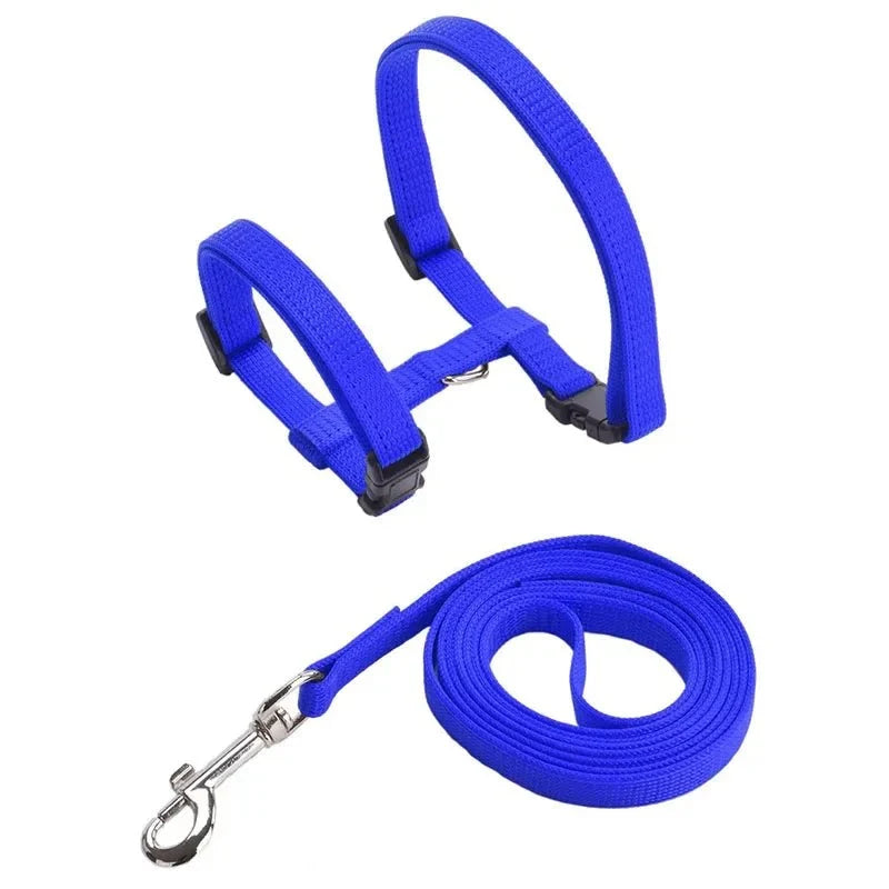 Escape-Proof Dog & Cat Harness with Lead – LeadSphere™