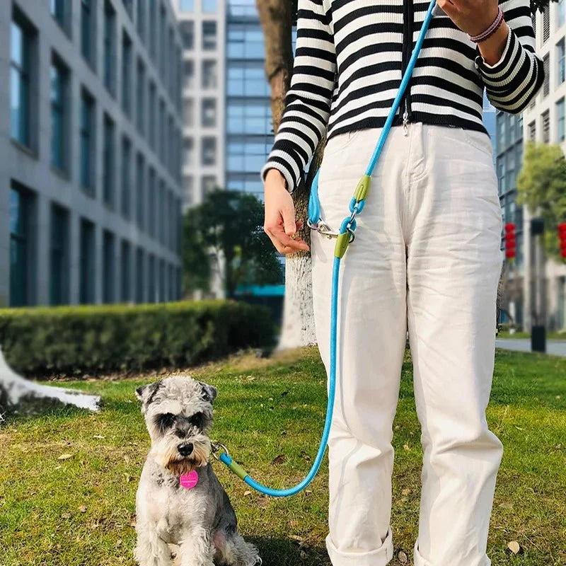 Hands-Free Reflective Dog Leash – HoldGlow™