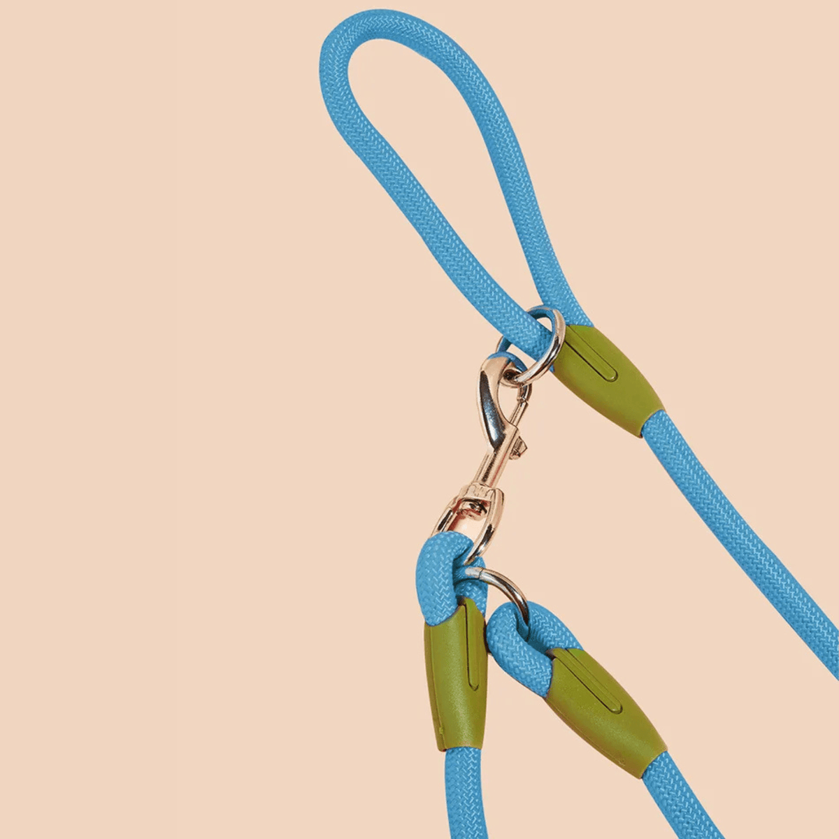 Hands-Free Reflective Dog Leash – HoldGlow™