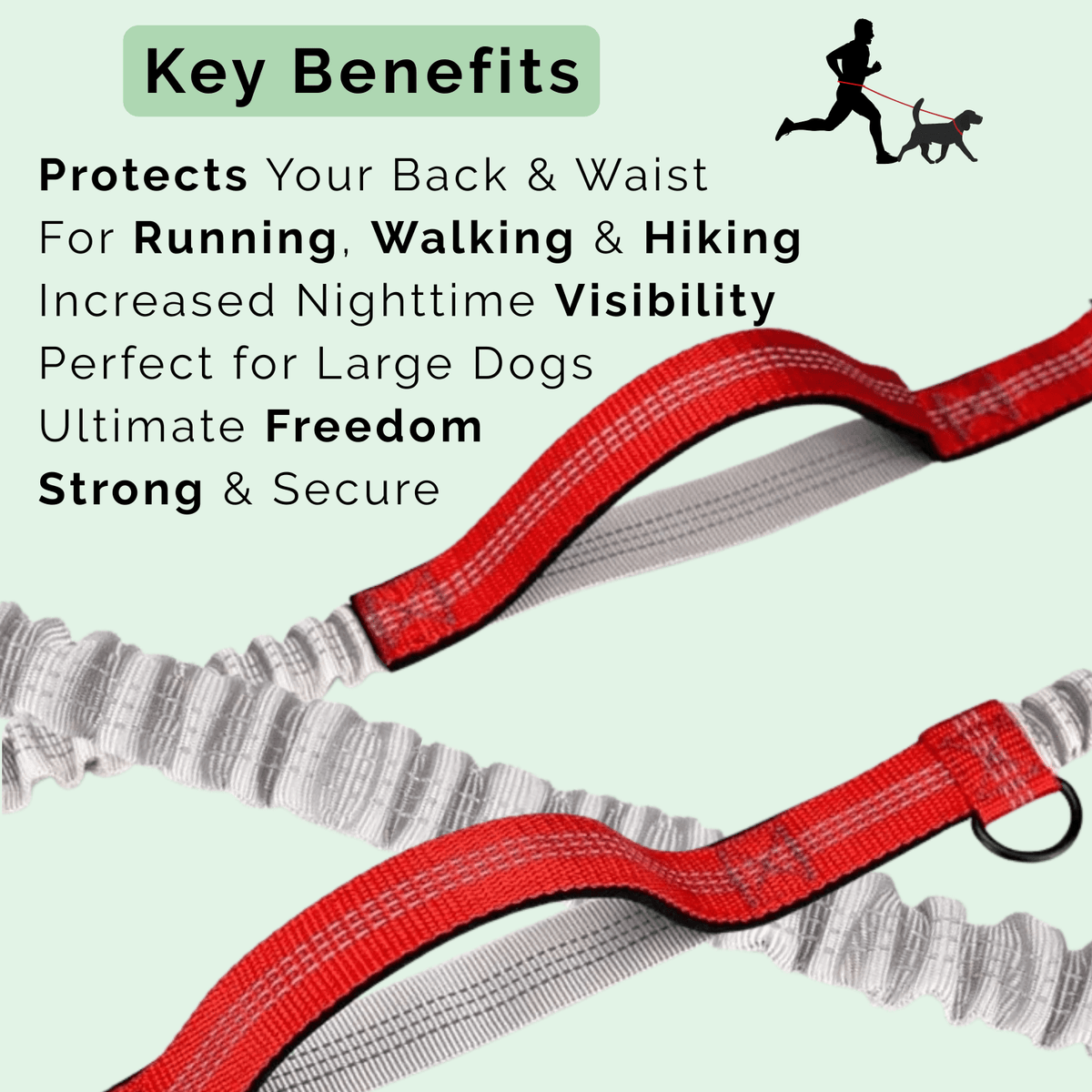 Hands-Free Dog Leash for Running – LeadMotion™