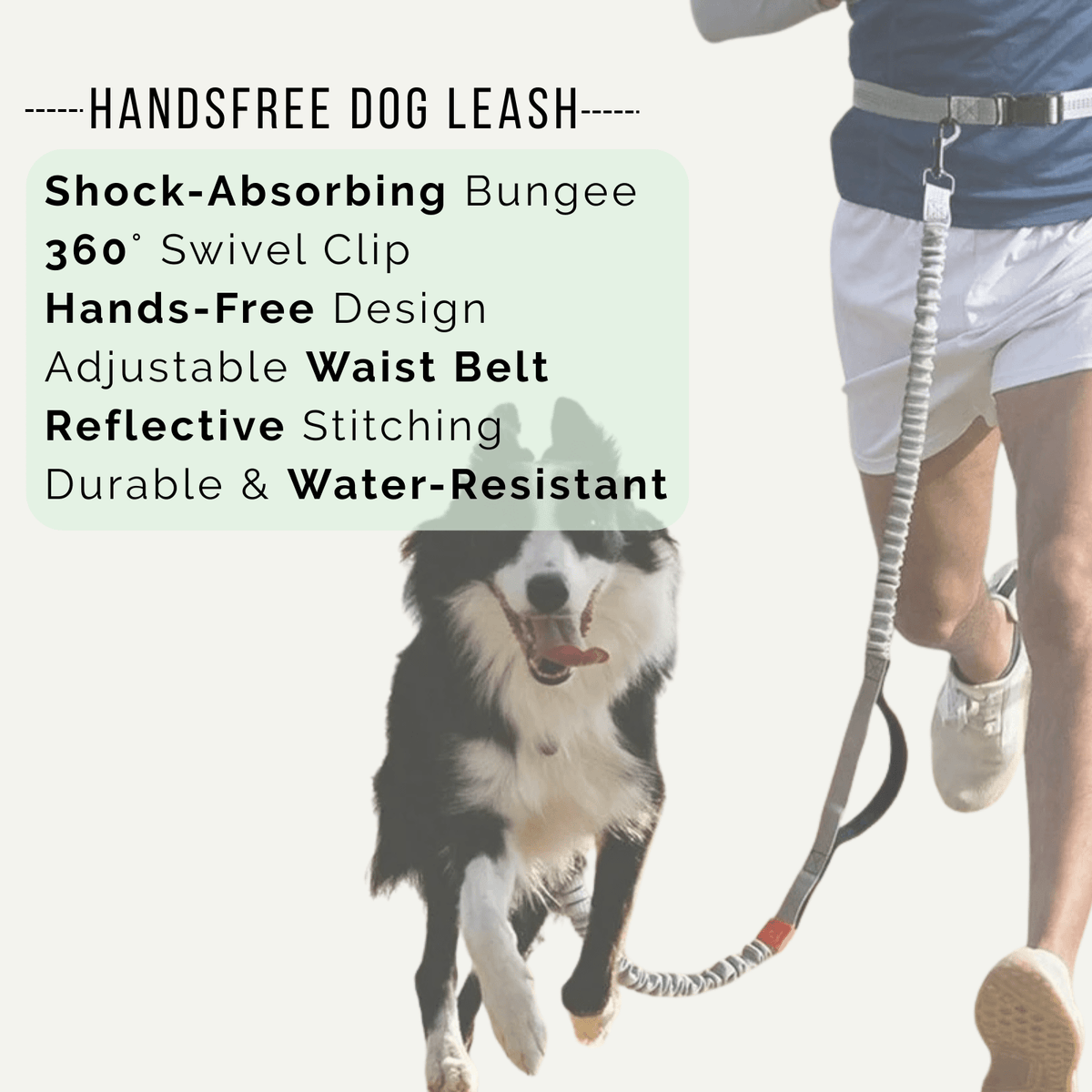 Hands-Free Dog Leash for Running – LeadMotion™