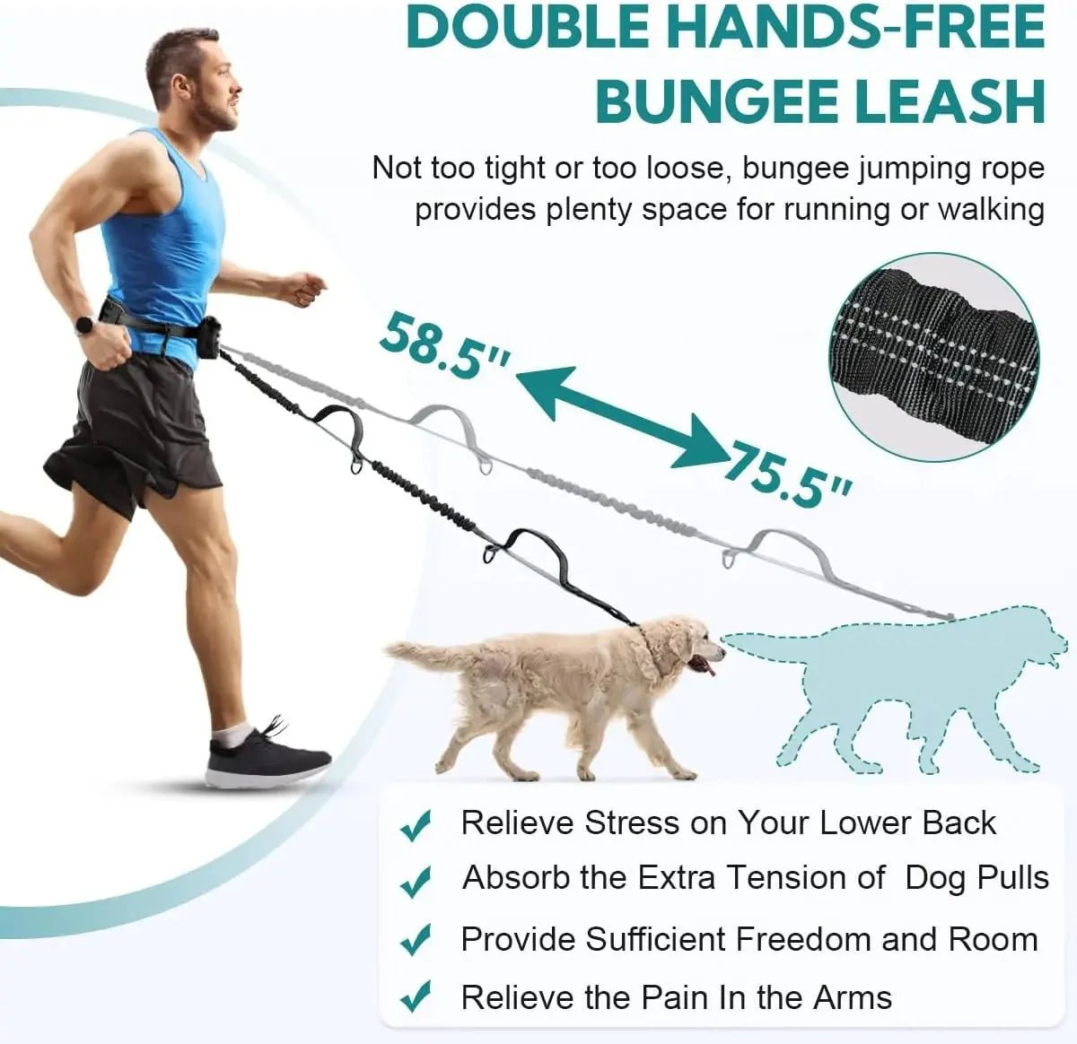 Hands-Free Dog Leash for Everyday Walks – ControlPath™