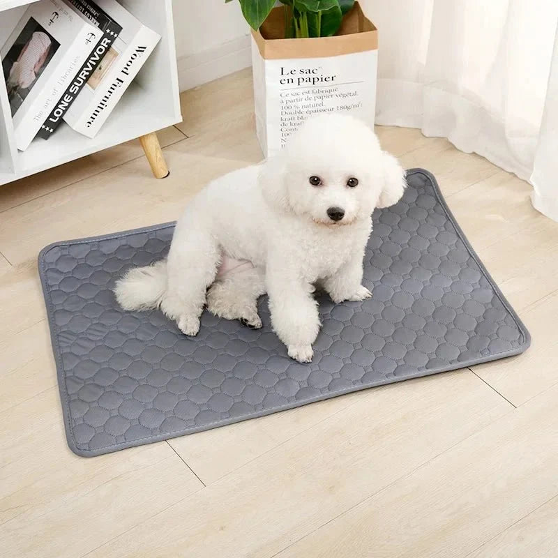 Washable Waterproof Dog Training & Pee Pad – CleanBalance™