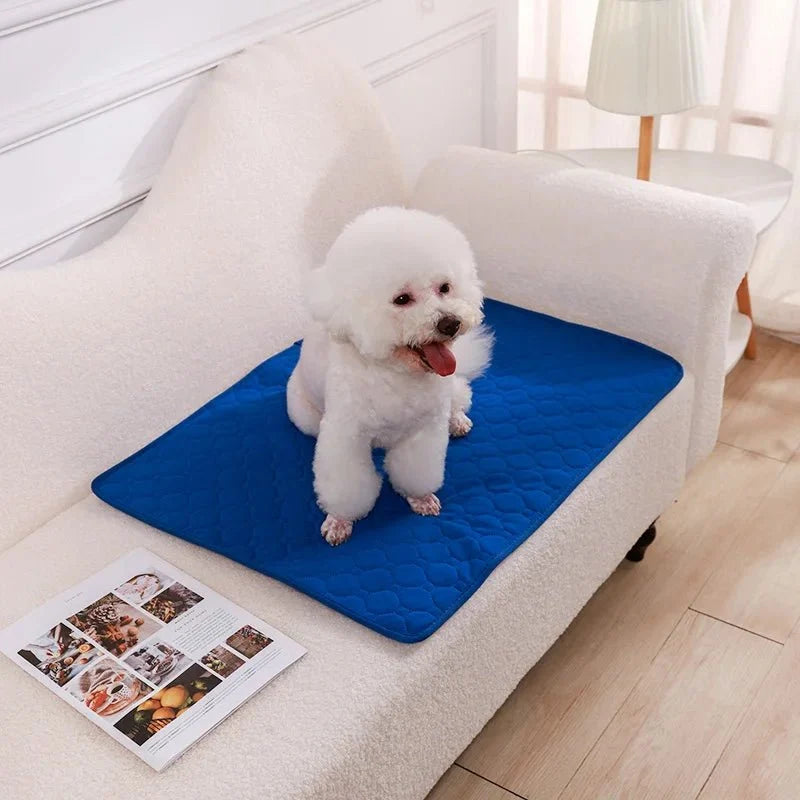 Washable Waterproof Dog Training & Pee Pad – CleanBalance™