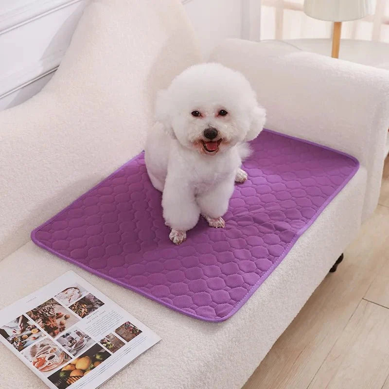 Washable Waterproof Dog Training & Pee Pad – CleanBalance™