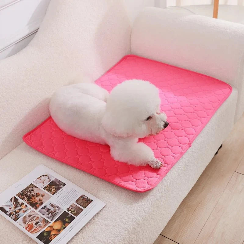 Washable Waterproof Dog Training & Pee Pad – CleanBalance™