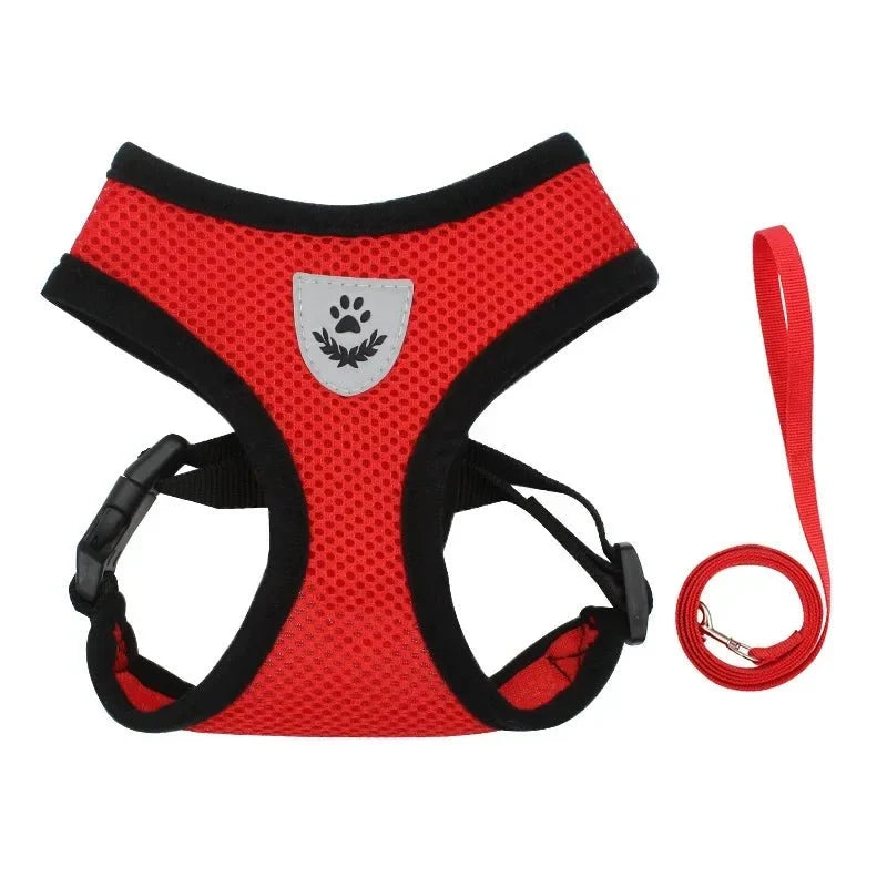 Adjustable Dog & Cat Harness for Small Pets – WalkPro™