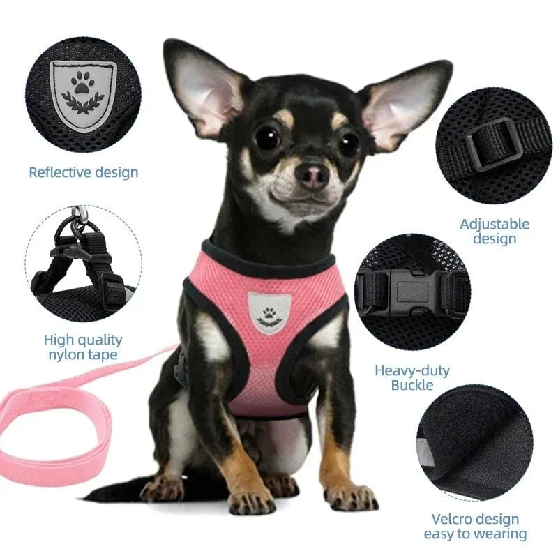 Adjustable Dog & Cat Harness for Small Pets – WalkPro™
