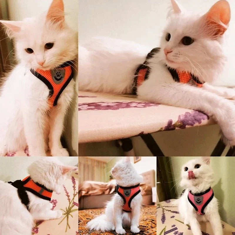 Adjustable Dog & Cat Harness for Small Pets – WalkPro™
