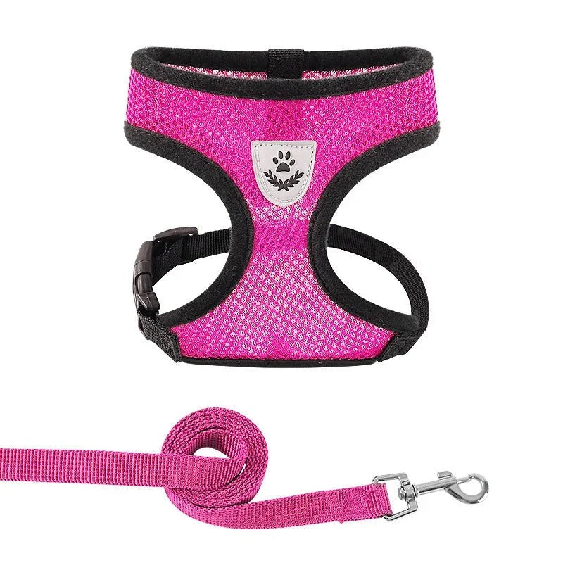 Adjustable Dog & Cat Harness for Small Pets – WalkPro™