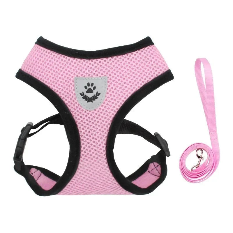 Adjustable Dog & Cat Harness for Small Pets – WalkPro™