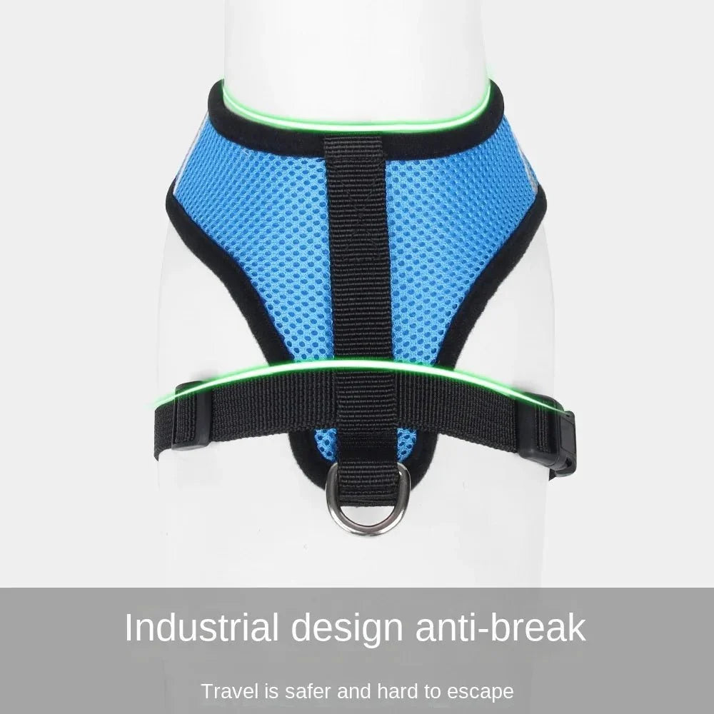 Adjustable Dog & Cat Harness for Small Pets – WalkPro™