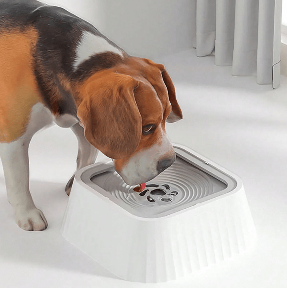 Spill-Proof Pet Water Bowl for Dogs & Cats – DineWave™