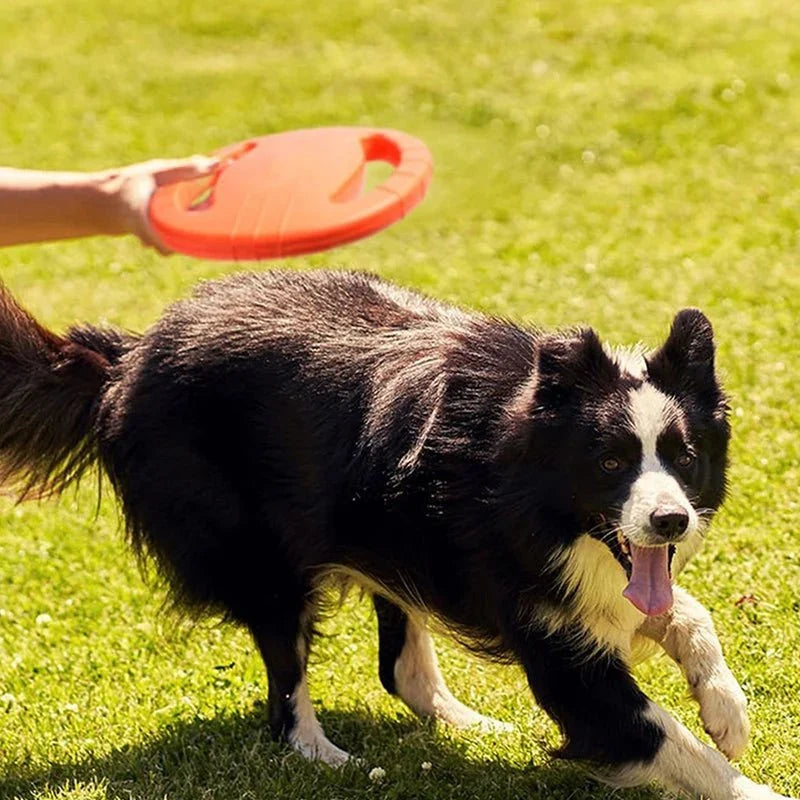 Durable Flying Disc Dog Toy – PlayLiving™
