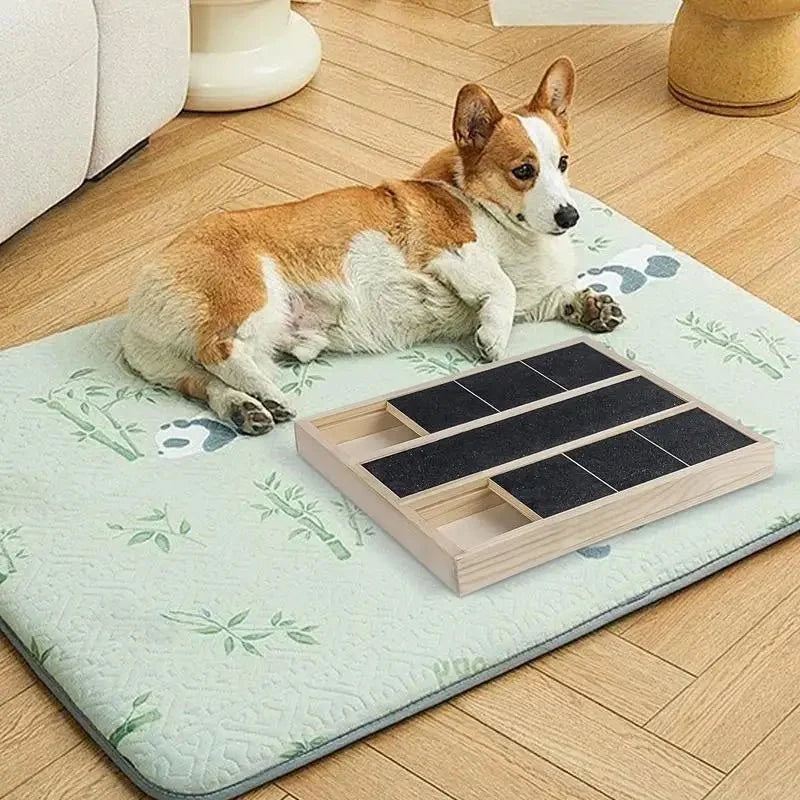 Dog Scratch Board with Treat Holder for Nail Care – PawCare™