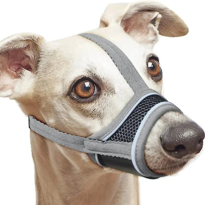 Reflective Dog Muzzle – FlexShield™