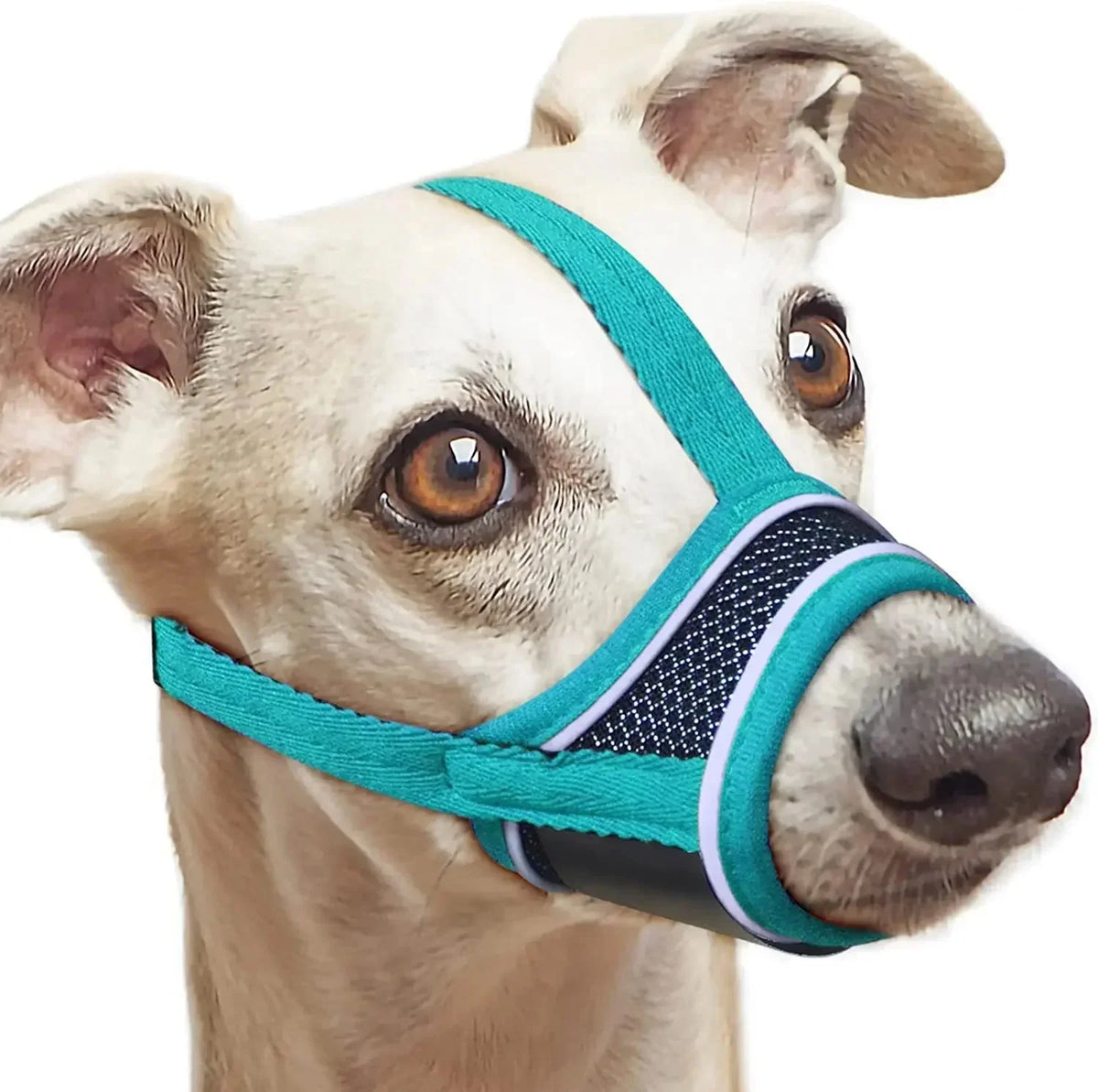 Reflective Dog Muzzle – FlexShield™