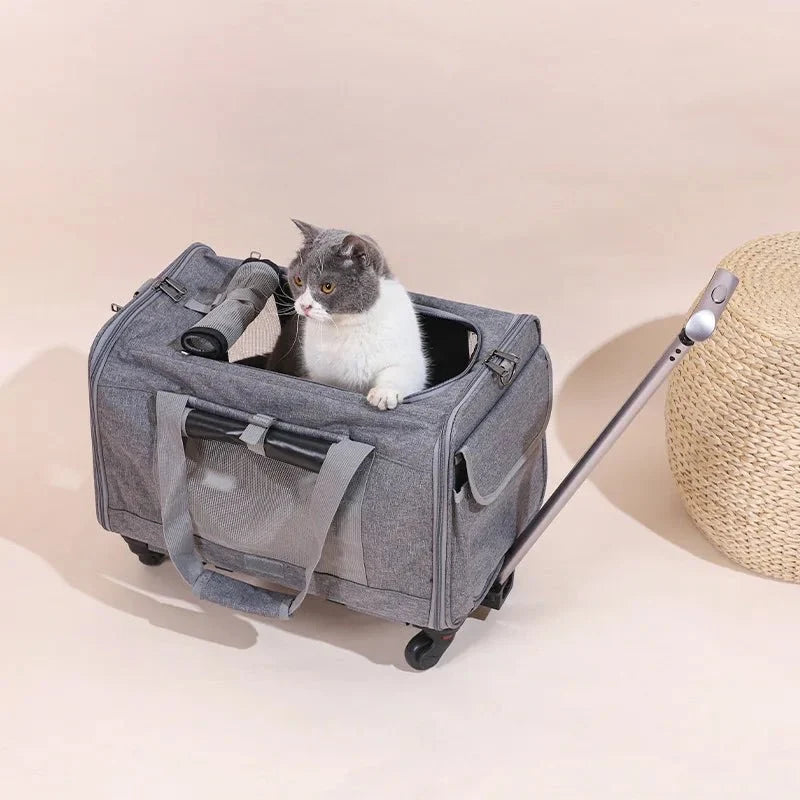 Foldable Pet Stroller & Wheeled Carrier – PawPortPath™