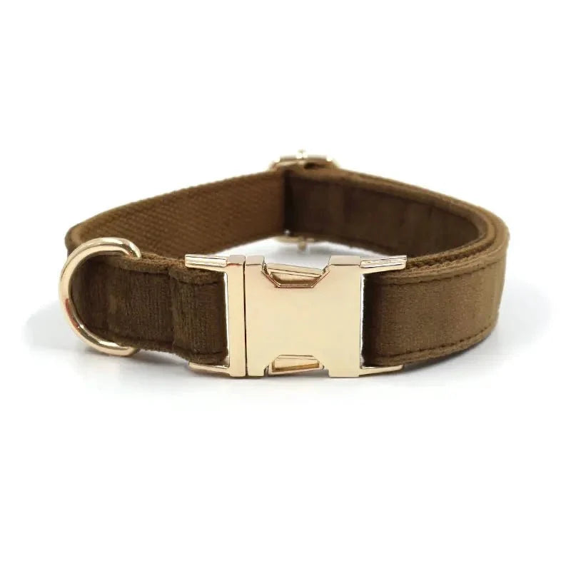 Suede Dog Collar & Leash Set with Waste Bag Holder – RouteSelect™
