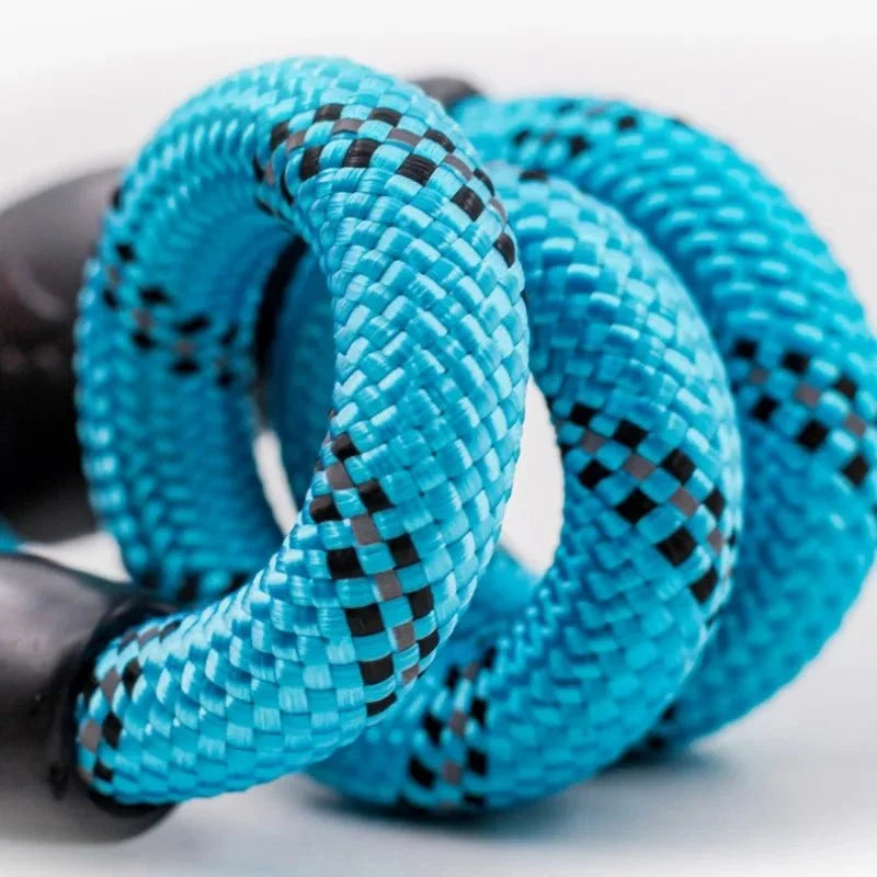 Reflective P-Chain Slip Lead Dog Collar – MotionPro™
