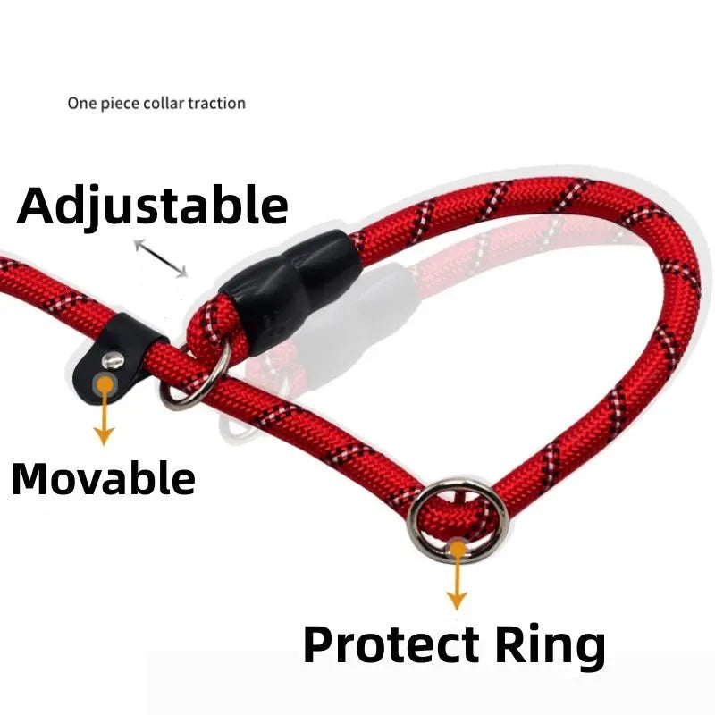 Reflective P-Chain Slip Lead Dog Collar – MotionPro™