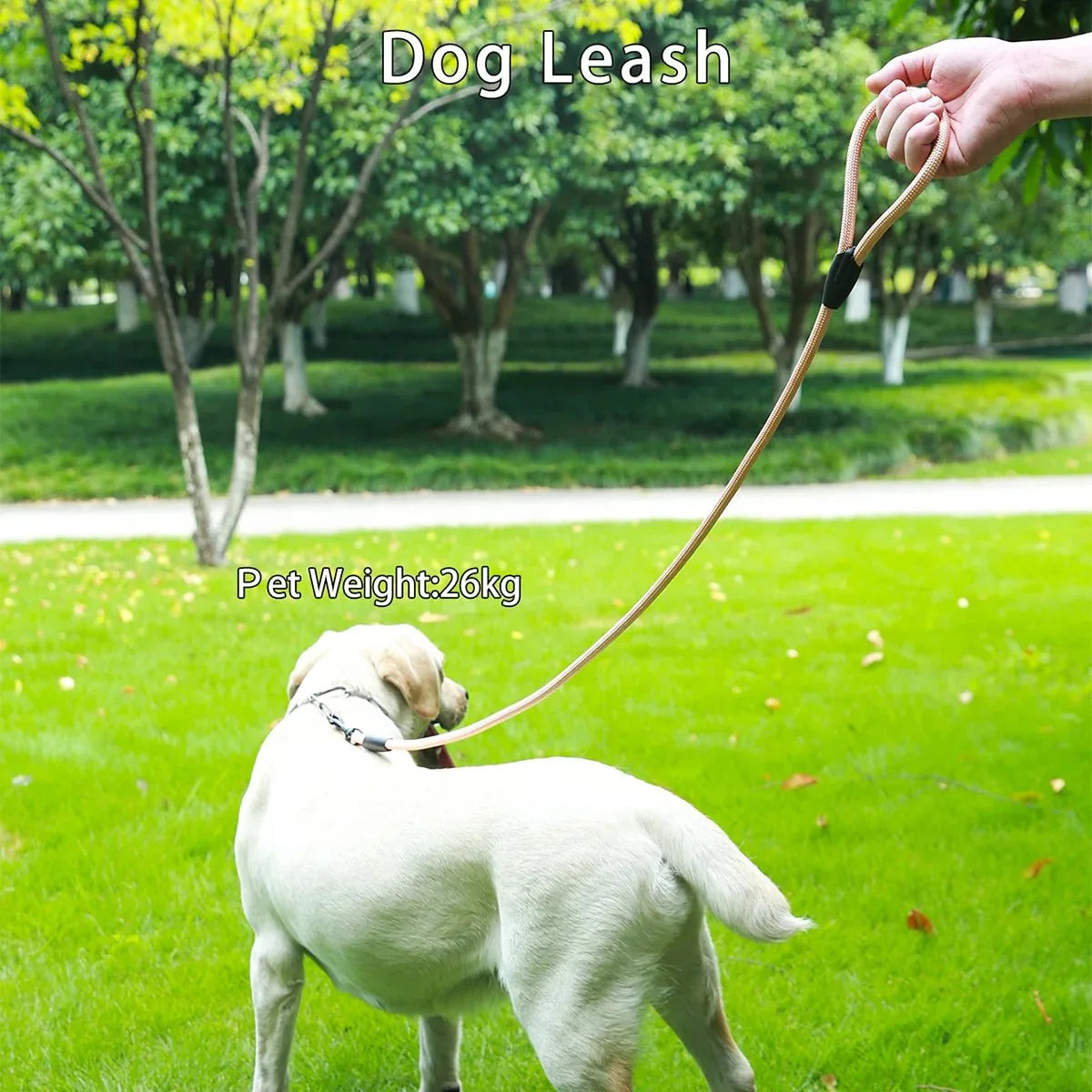 Tailented SecureSmart™ – Dog Leash for Everyday Walks