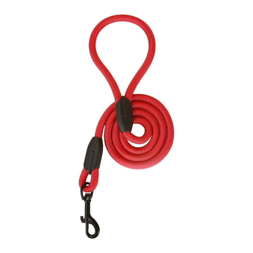 Tailented SecureSmart™ – Dog Leash for Everyday Walks