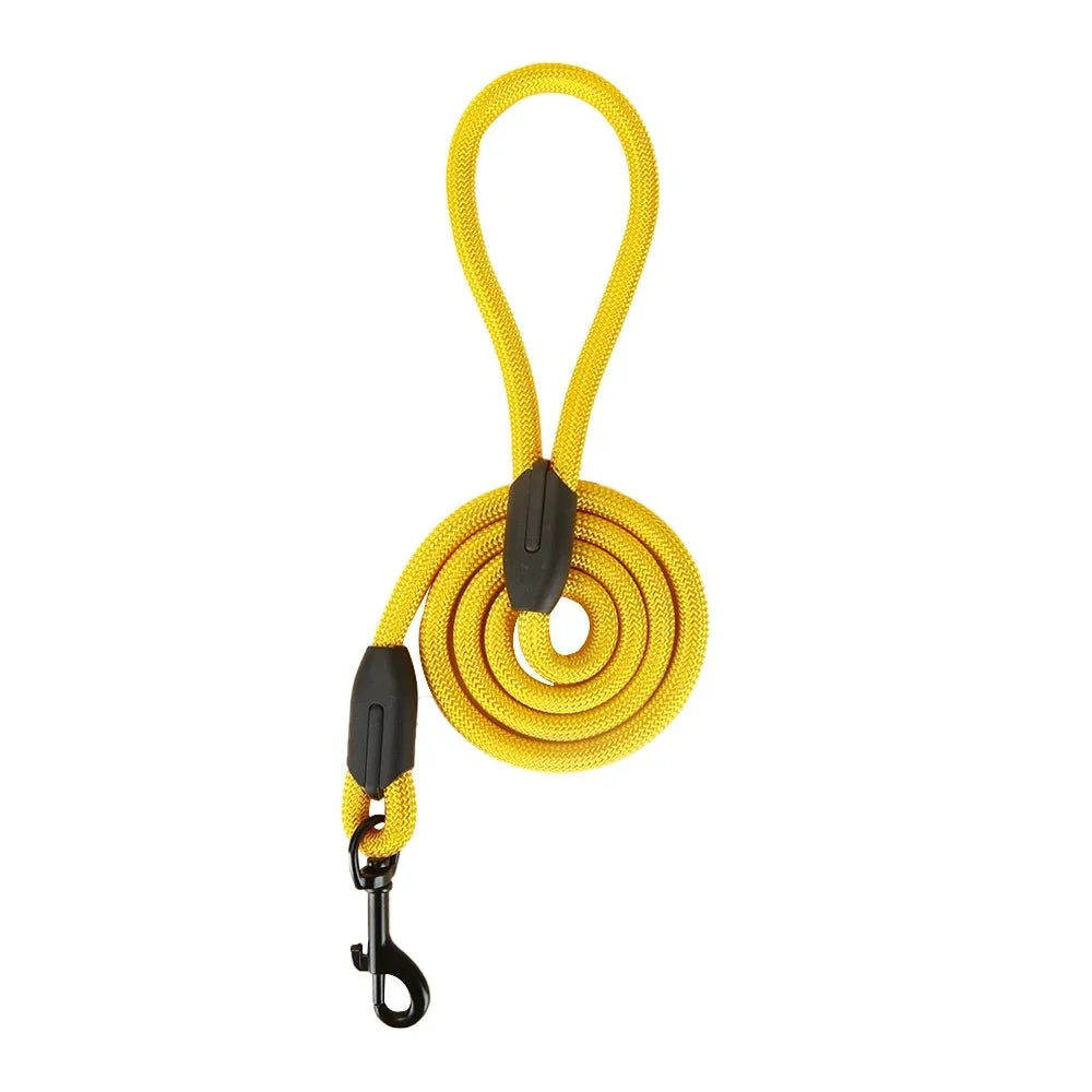 Tailented SecureSmart™ – Dog Leash for Everyday Walks