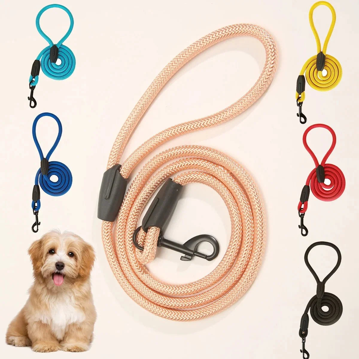 Tailented SecureSmart™ – Dog Leash for Everyday Walks