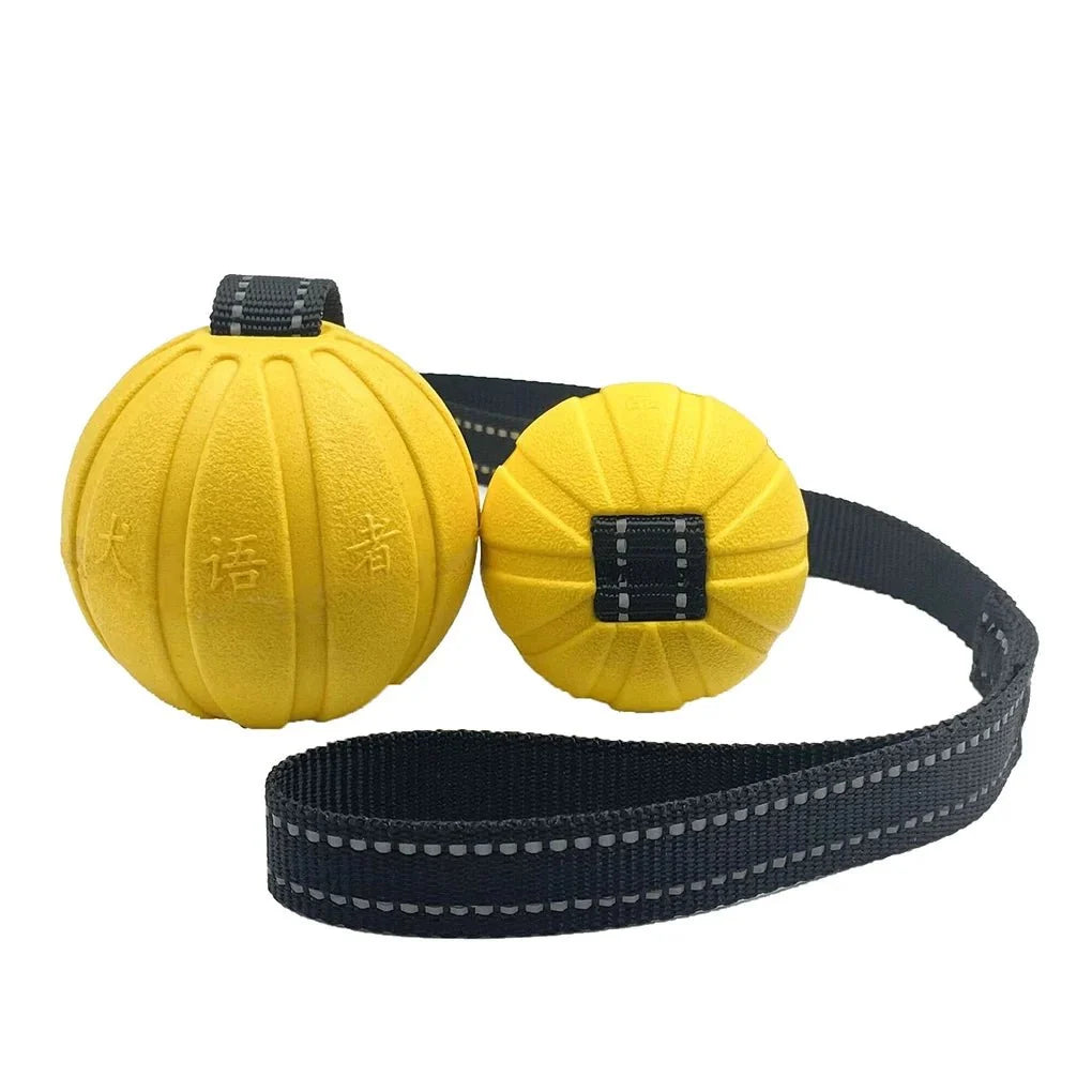 Floating Rope Dog Ball for Chewing & Fetch – QuestReady™