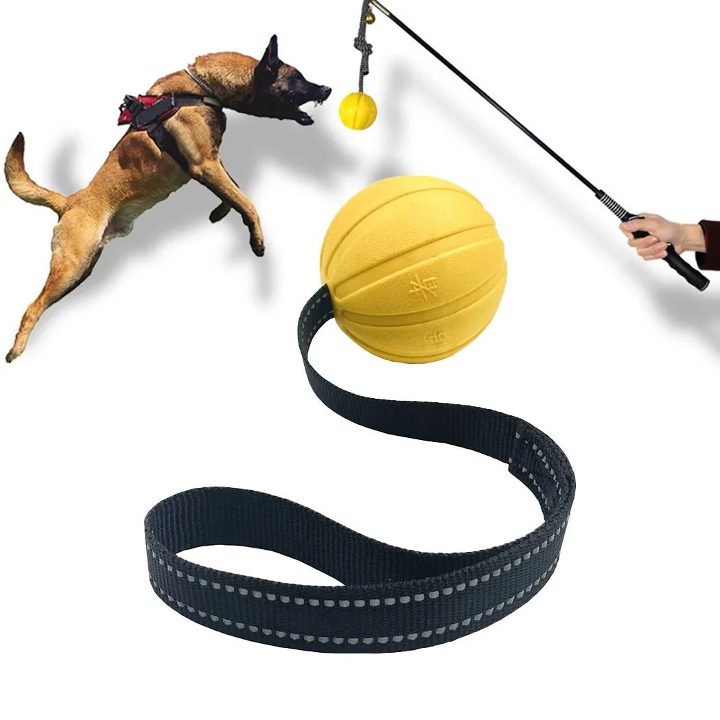 Floating Rope Dog Ball for Chewing & Fetch – QuestReady™