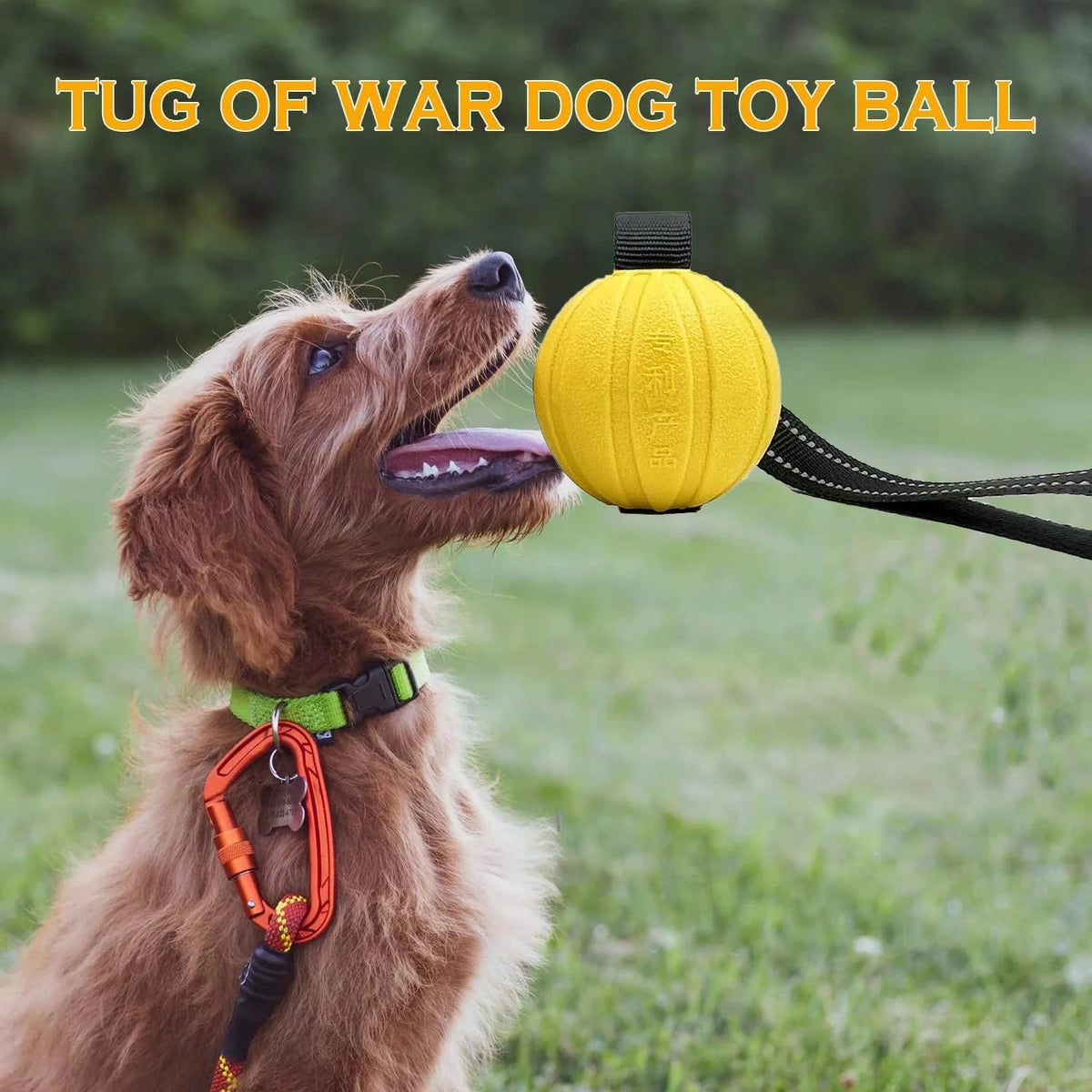 Floating Rope Dog Ball for Chewing & Fetch – QuestReady™