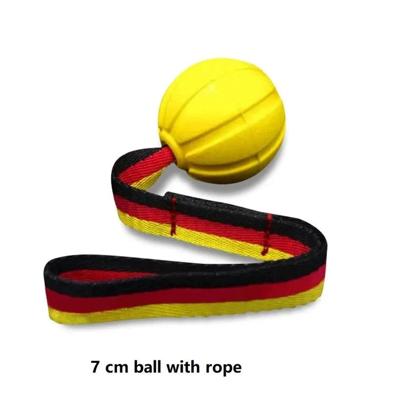 Floating Rope Dog Ball for Chewing & Fetch – QuestReady™