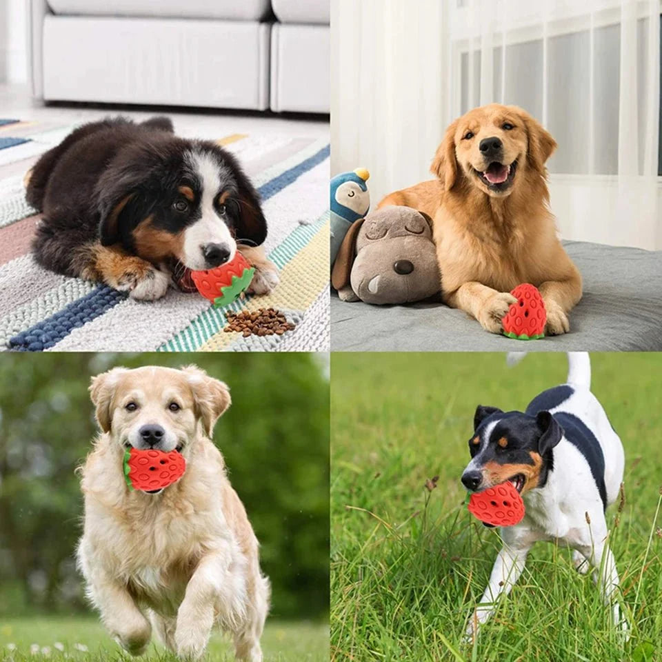 Interactive Strawberry Treat Ball for Dogs – TreatBounce™
