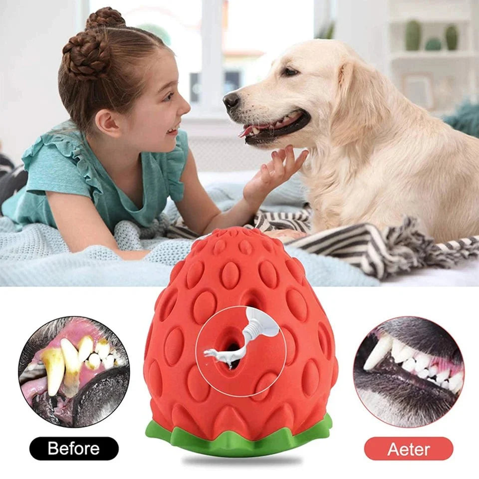 Interactive Strawberry Treat Ball for Dogs – TreatBounce™